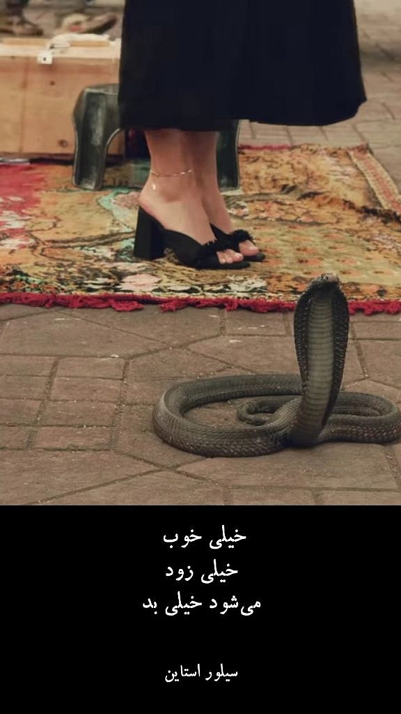 خیلی خوب خیلی زود می‌شود خیلی بد شل سیلور استاین